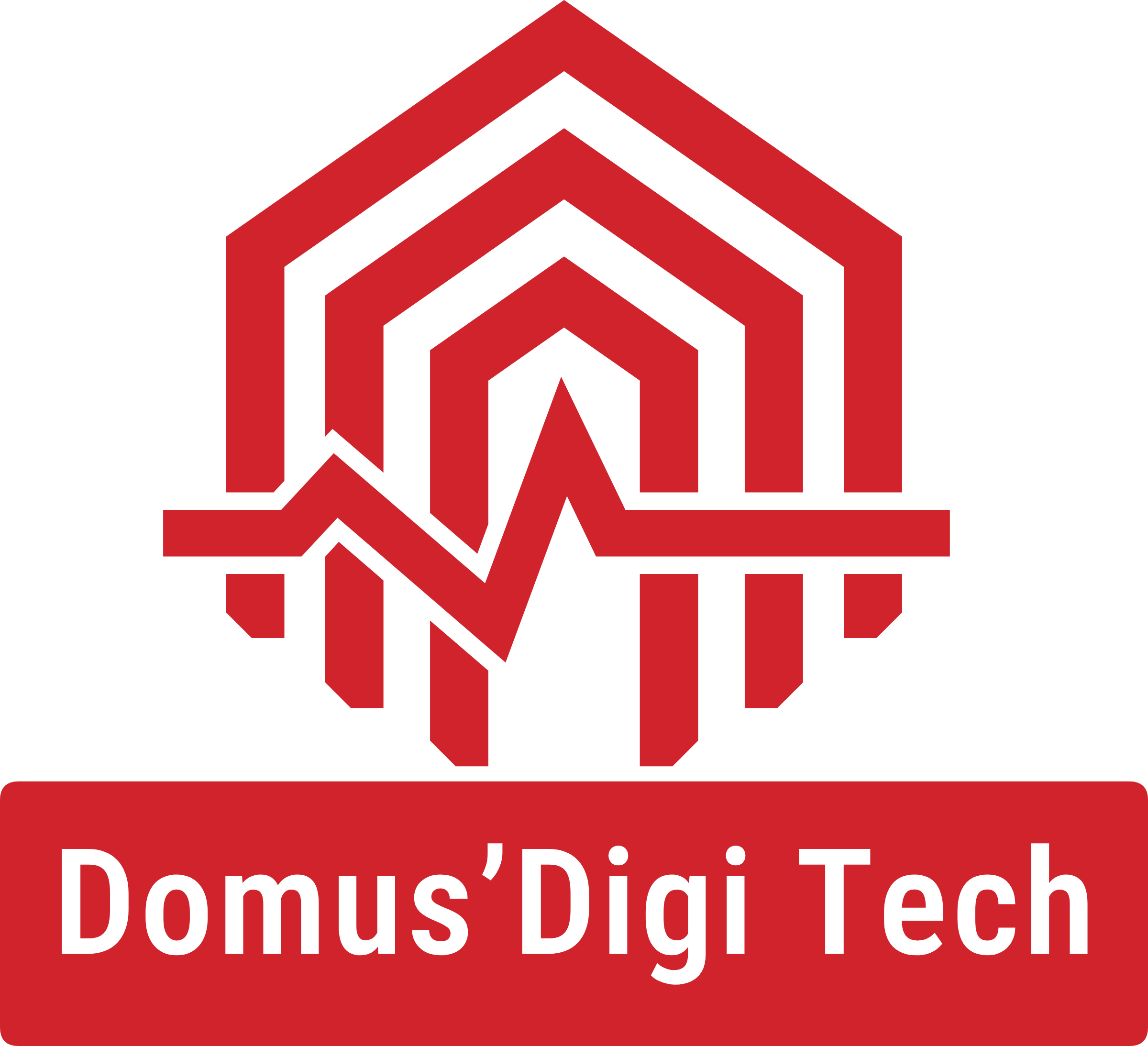 Domus'Digi Tech